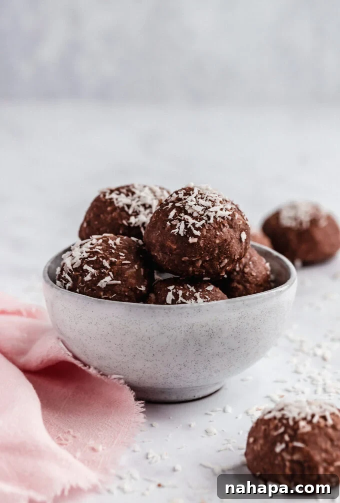 Smart Snacking 10 Quick Portable Bites 8 Paleo & AIP Chocolate Coconut Collagen Protein Bites