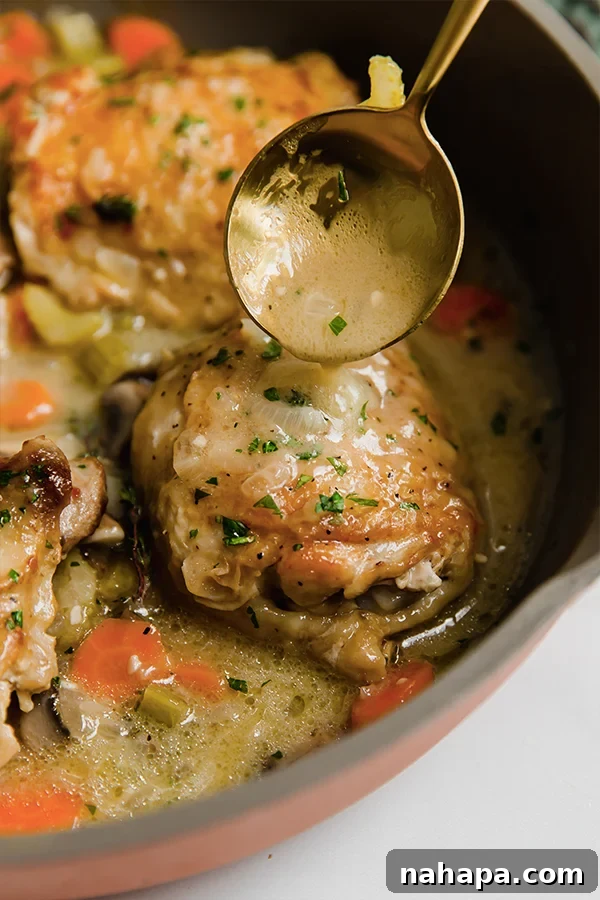 Individual serving of creamy Chicken Fricassee with mushrooms and herbs on a white plate.