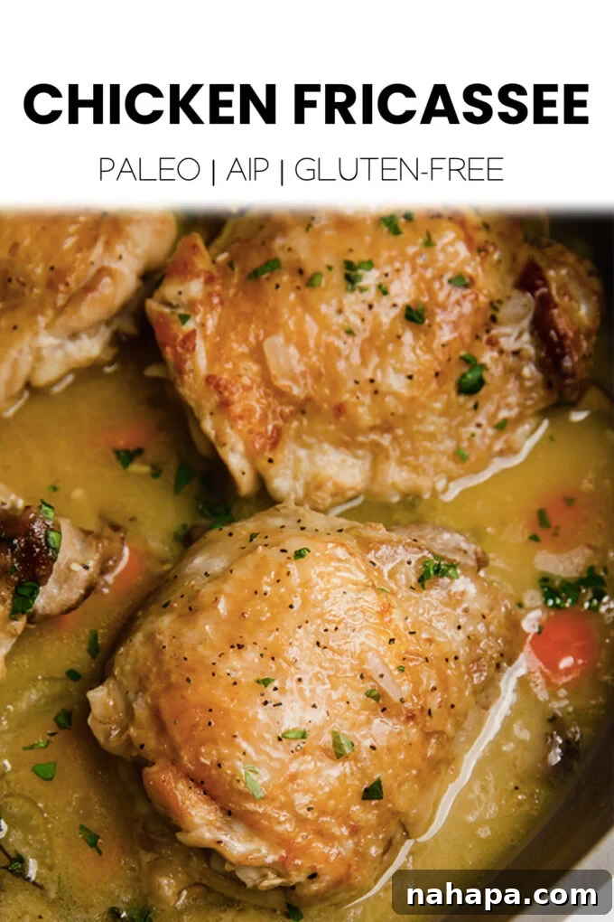 A final close-up image of the rustic and appealing Chicken Fricassee with herbs.