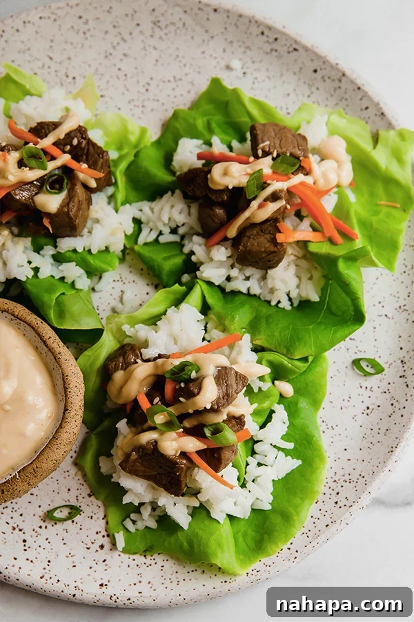 Delicious Hibachi steak lettuce wraps assembled on a plate, garnished with green onions and a side of mustard sauce.