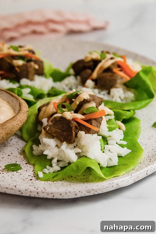 Three fully assembled Hibachi steak lettuce wraps showcased on a plate, highlighting the fresh ingredients and vibrant colors.
