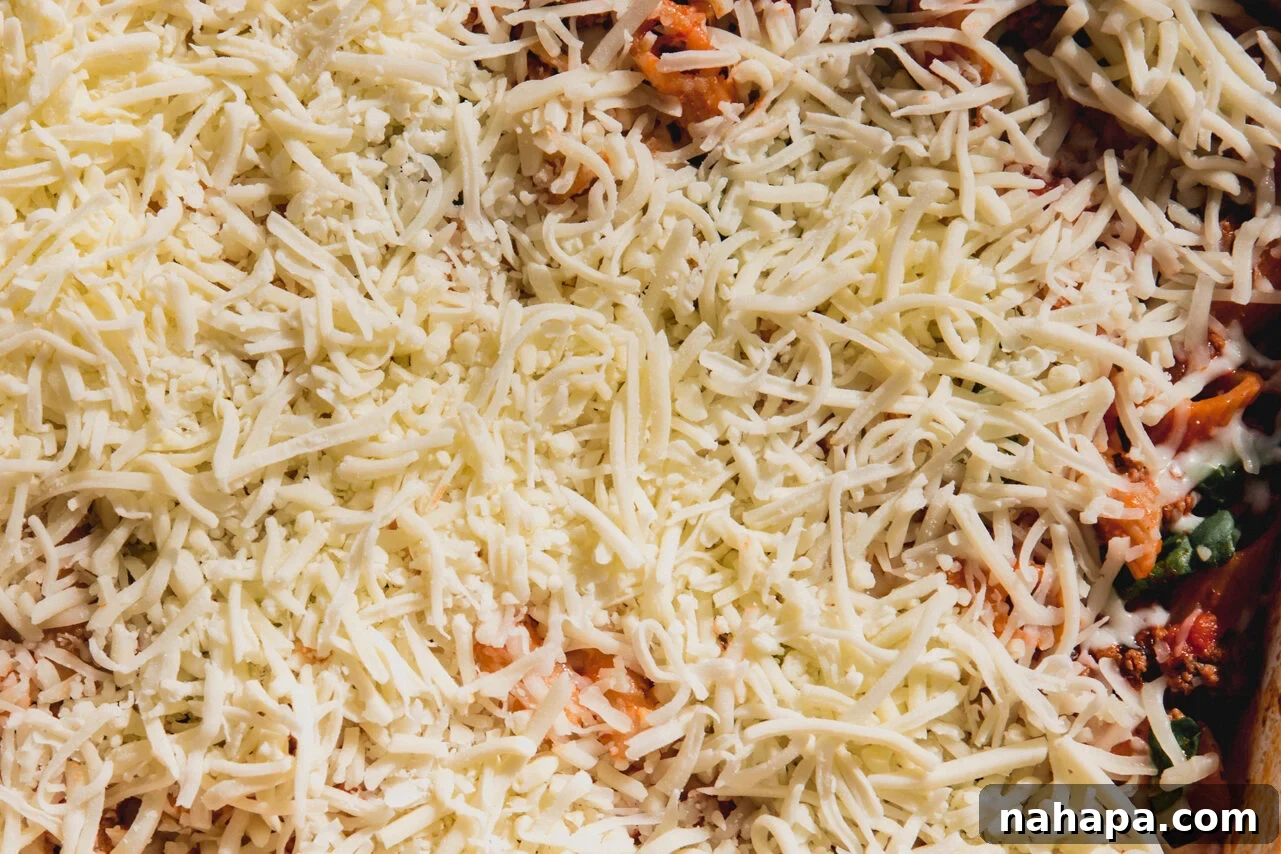 No boil pasta bake topped with shredded cheese, ready to go back into the oven.
