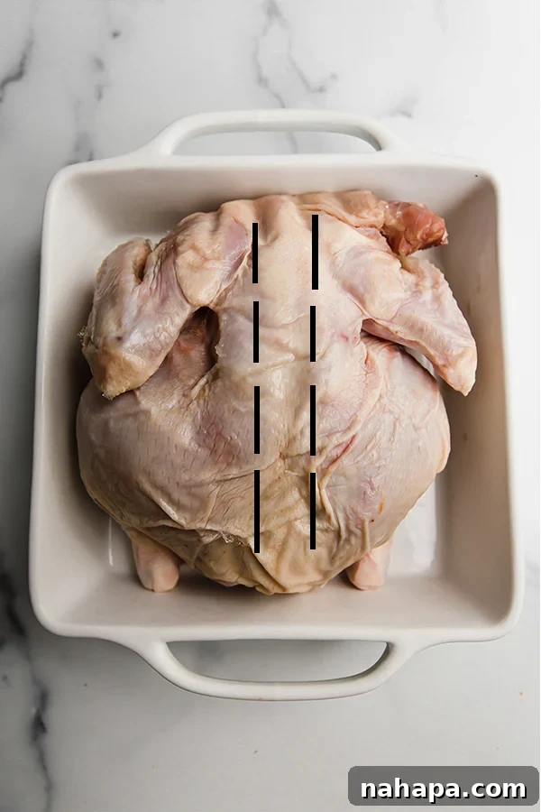 A raw chicken with the backbone removed, ready to be flattened in a white baking dish.