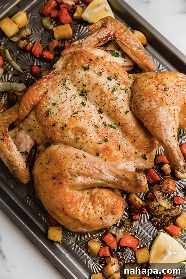 A baking sheet with a cooked spatchcocked chicken and perfectly roasted chopped vegetables, a testament to one-pan efficiency.