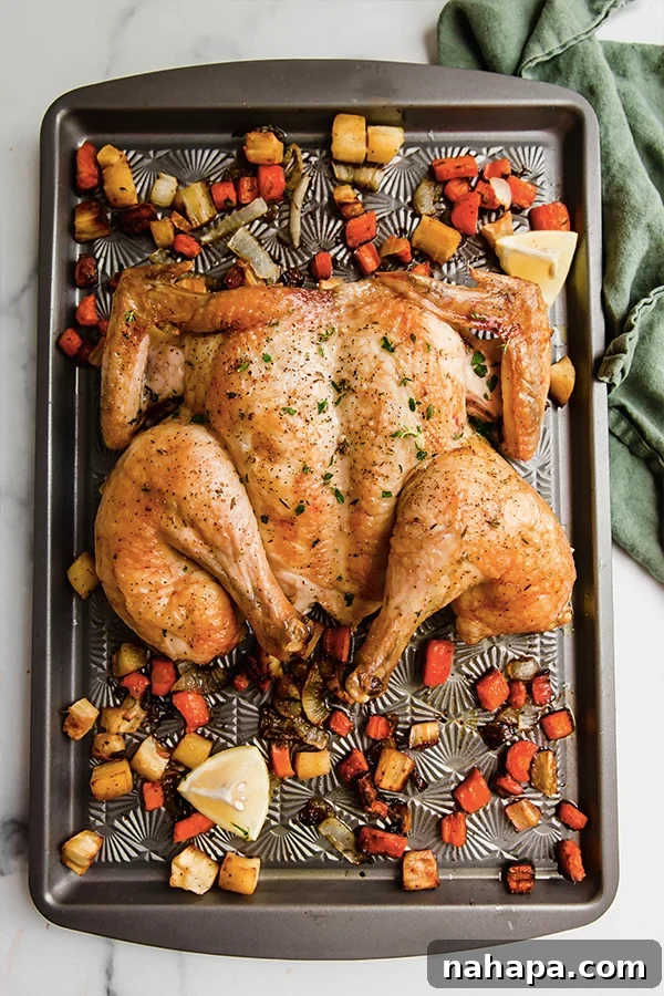 One Pan Oven Spatchcocked Chicken and Vegetables