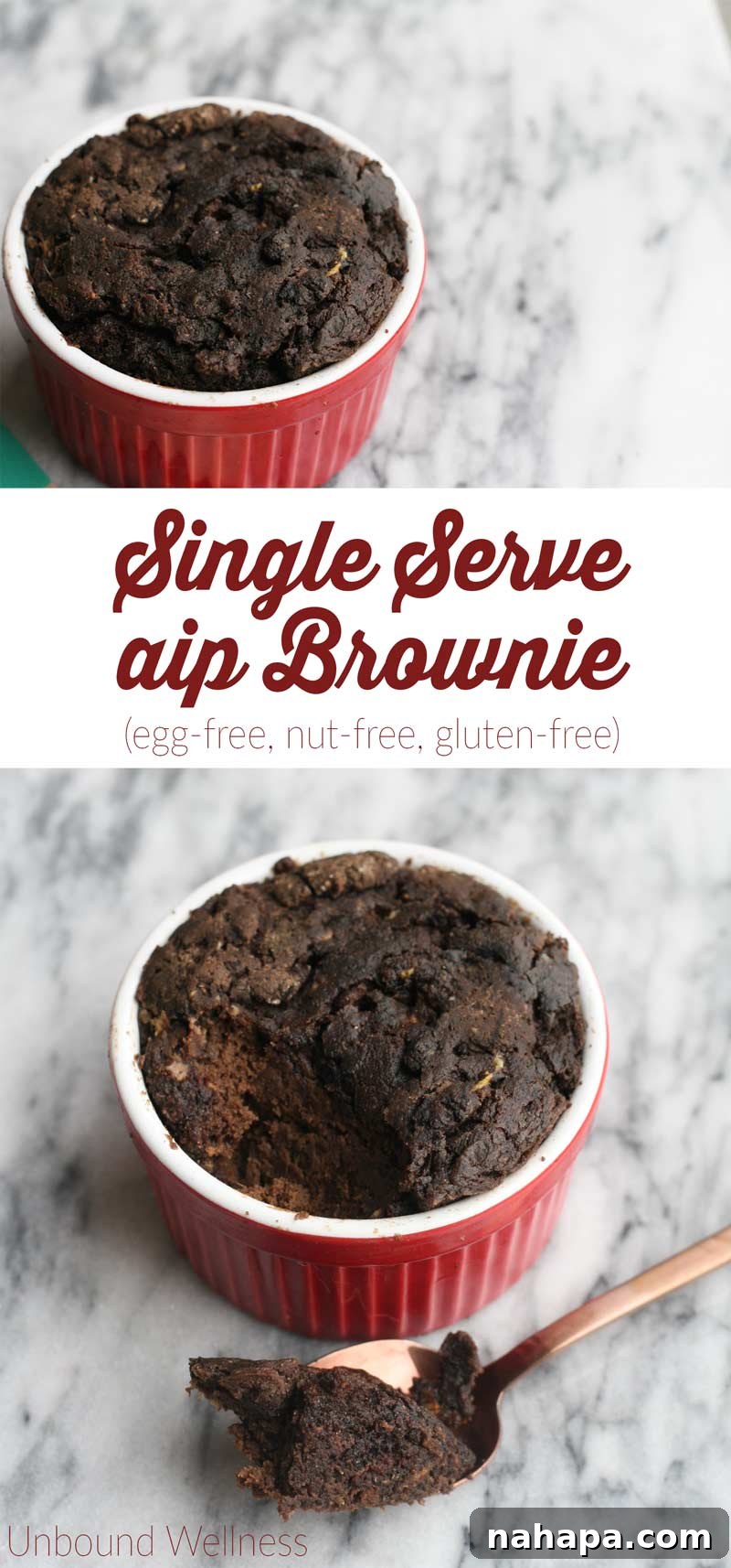 Close-up of a Single-Serve AIP Brownie, demonstrating its rich, cake-y texture, egg-free, nut-free, gluten-free, dairy-free