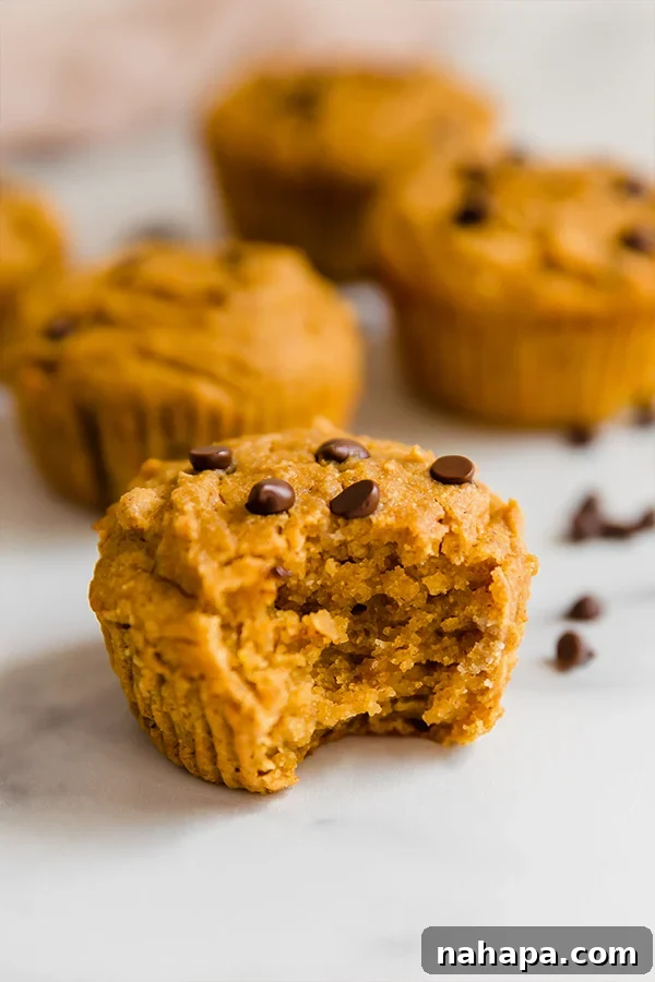 A bite taken out of a paleo pumpkin muffin.