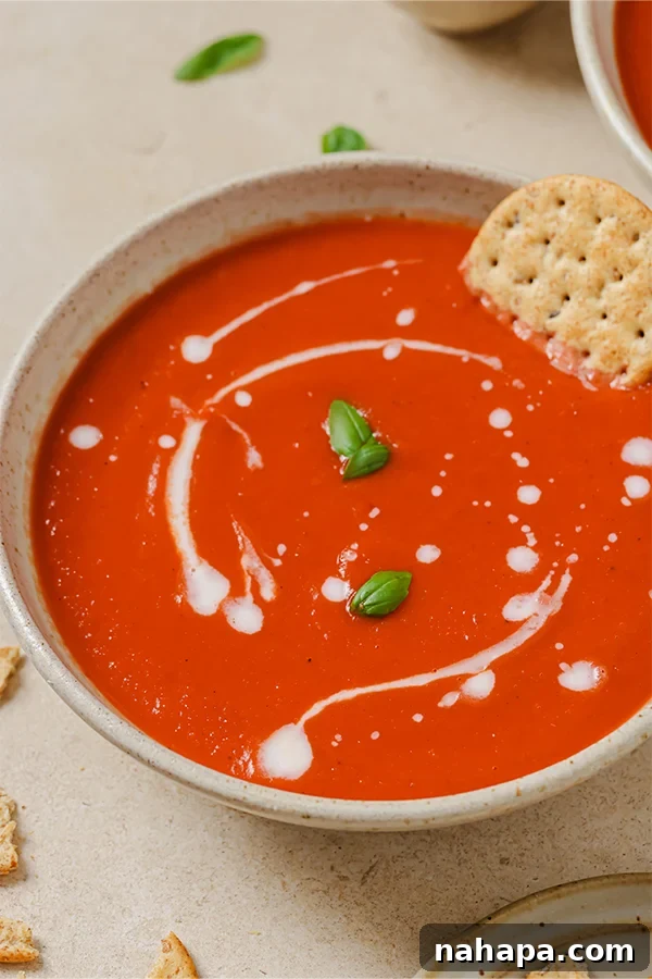 Nightshade Free Tomato Soup