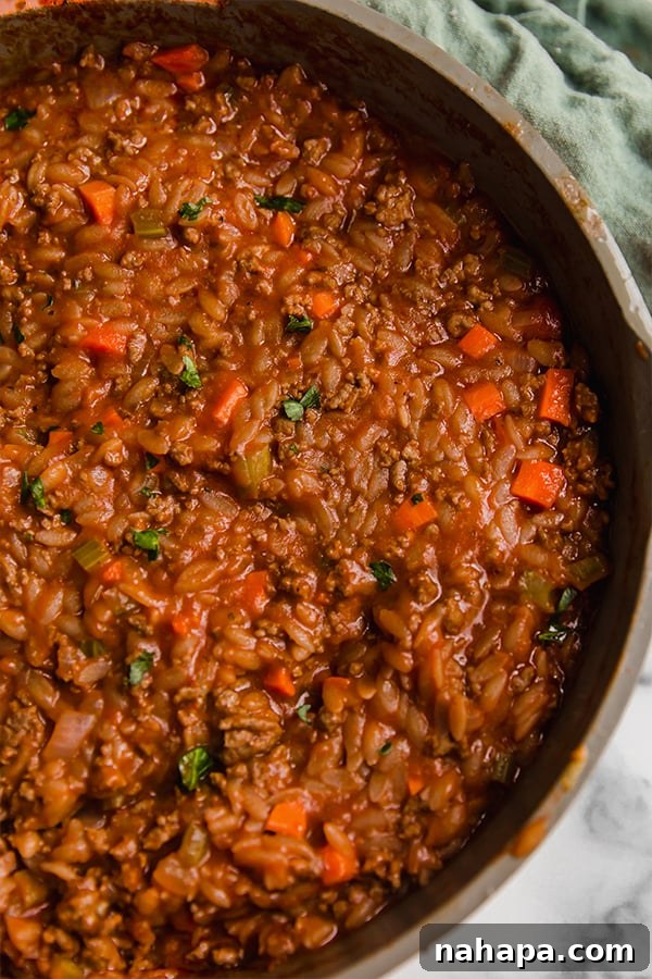 Tiny Pasta, Big Flavor: Gluten-Free Orzo Bolognese 3 A pot of orzo bolognese.