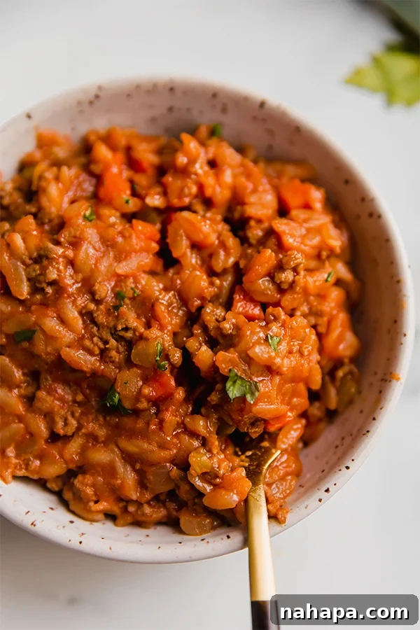 Tiny Pasta, Big Flavor: Gluten-Free Orzo Bolognese 4 A bowl of orzo bolognese with a fork in it.
