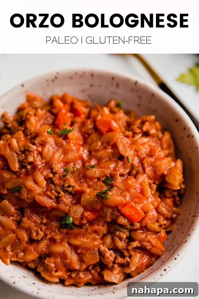 Tiny Pasta, Big Flavor: Gluten-Free Orzo Bolognese 6 img 17103 6