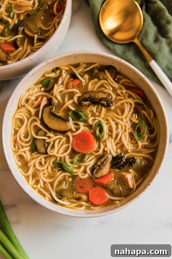 Umami-Rich Asian Chicken Noodle Soup 4 A close-up of a bowl of Asian Inspired Chicken Noodle Soup, showcasing the noodles, chicken, and vegetables.