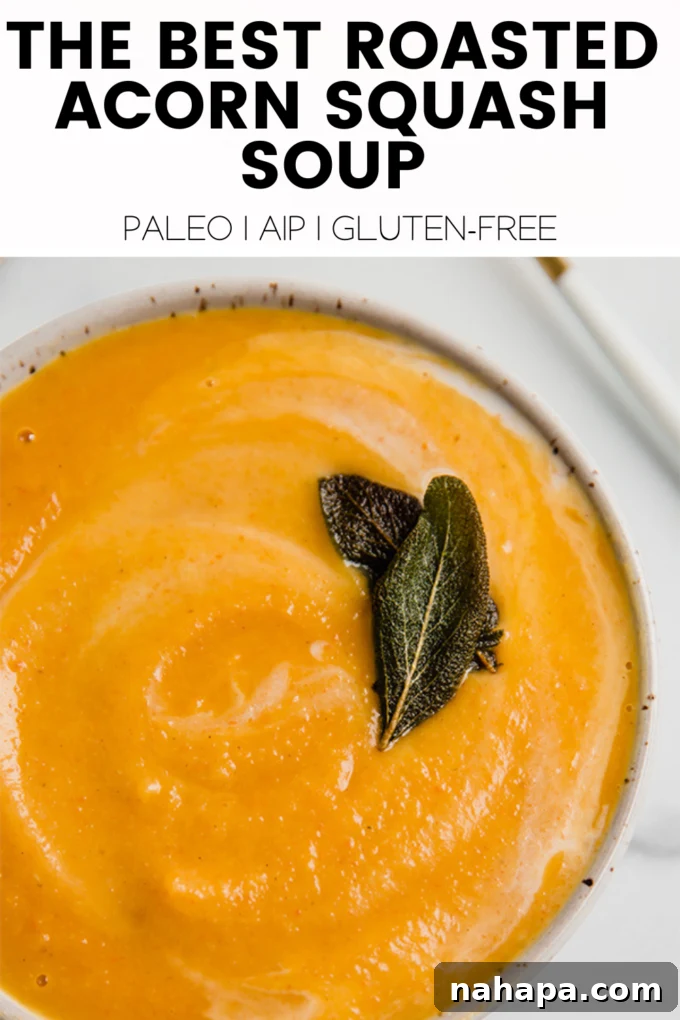 A top-down view of a vibrant bowl of Roasted Acorn Squash Soup, highlighting its rich color and creamy texture.