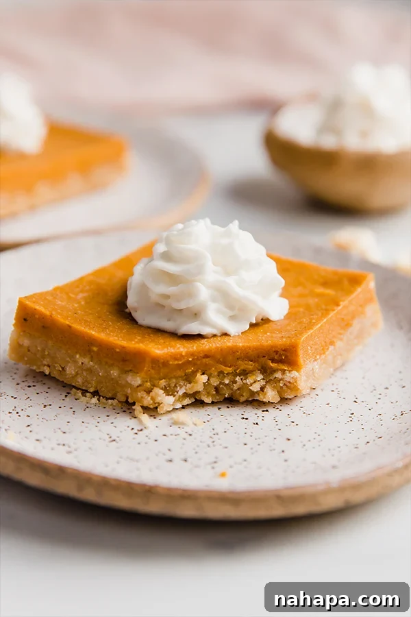 Delicious Paleo and AIP Pumpkin Pie Bars with a unique cereal crust, perfect for healthy indulgence.