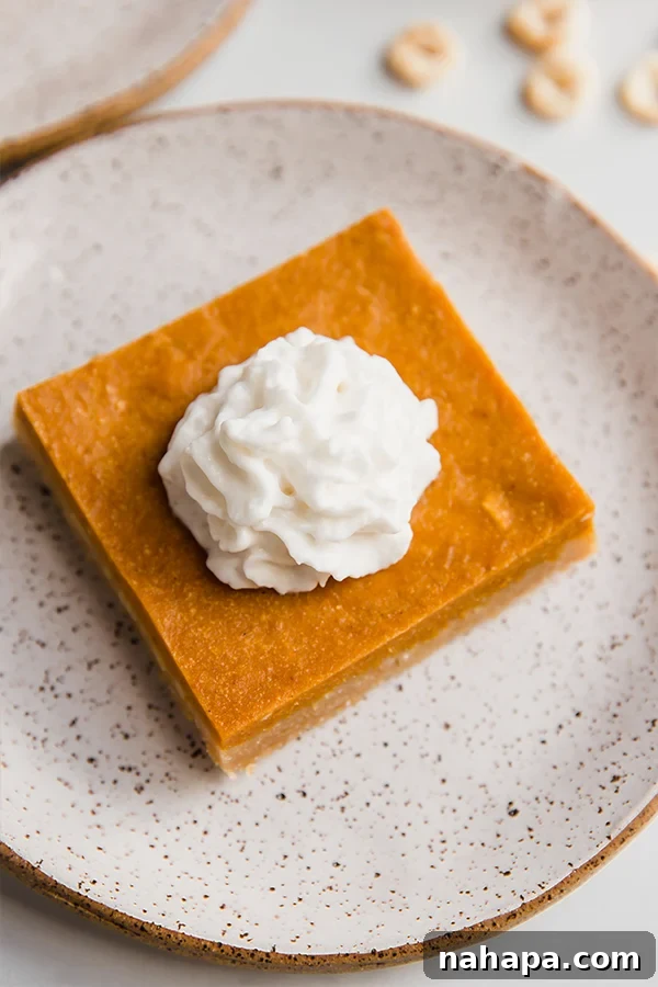 Pumpkin Pie Bars with Cereal Crust (Paleo, AIP)