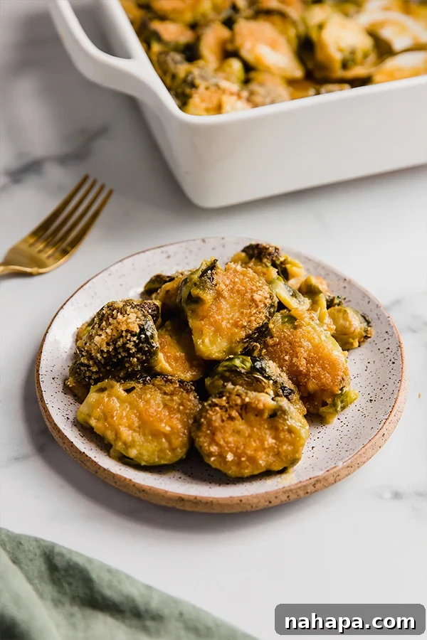 A close-up of a single serving of Brussels Sprouts Gratin on a white plate, showcasing the creamy sauce clinging to the tender sprouts and the golden, crispy topping.