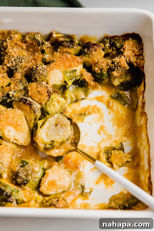 A large serving dish filled with creamy Brussels Sprouts Gratin, beautifully garnished and ready for a festive holiday meal or a hearty gathering.