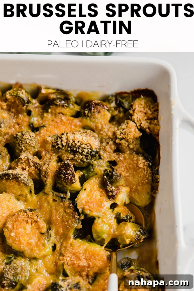 A tantalizing overhead shot of Brussels Sprouts Gratin in a rustic baking dish, with steam gently rising, highlighting the inviting warmth and texture of the dish.