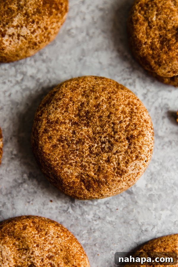 A tray of freshly baked chai snickerdoodle cookies, cooling beautifully.