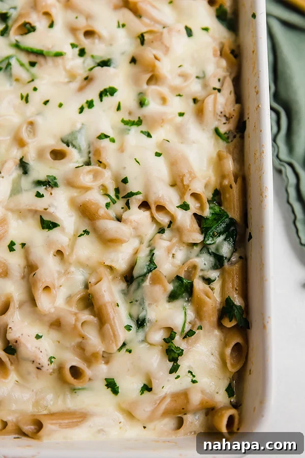 A beautifully baked dish of chicken alfredo no-boil pasta bake, ready to be served. It's a creamy, golden-brown pasta dish with chicken and hints of green spinach.
