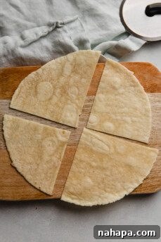 A tortilla sliced into quarters.