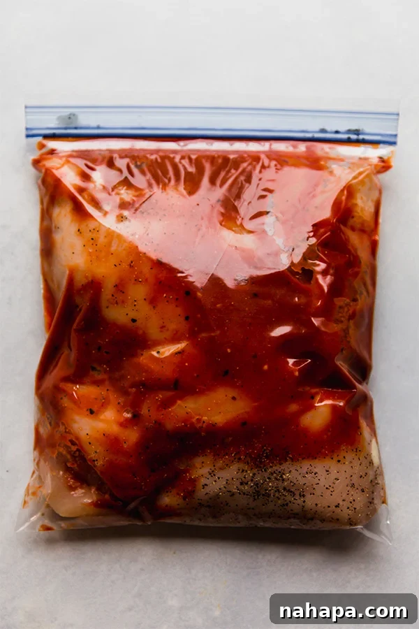 Shredded BBQ Chicken prepared as a freezer meal, ready for storage and future enjoyment.