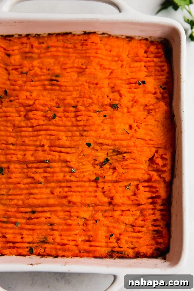 The sweet potato shepherd's pie in a baking dish, golden brown and ready to serve.