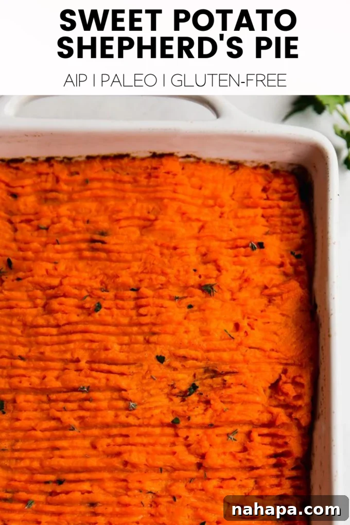 Sweet Potato Shepherd's Pie, a close-up shot of the golden-brown topping.