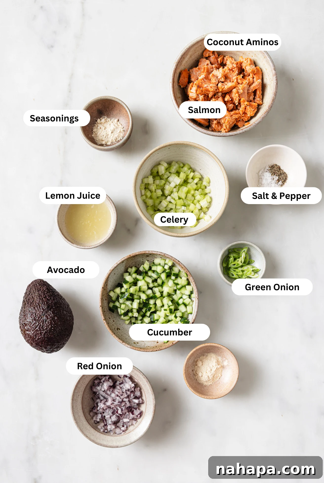 All the fresh and canned ingredients meticulously laid out for the avocado salmon salad, including a ripe avocado, canned salmon, red onion, cucumber, celery, lemon, and seasonings.