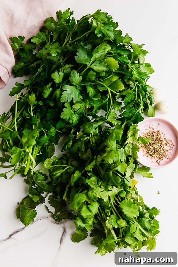 A vibrant bunch of fresh cilantro, a key ingredient in avocado chimichurri.