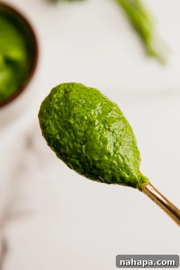 A spoonful of creamy avocado chimichurri sauce, showcasing its vibrant green color.