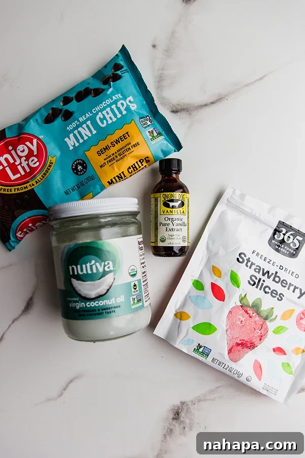 A selection of ingredients laid out on a surface, including dairy-free chocolate chips, coconut oil, freeze-dried strawberries, vanilla extract, and a pinch of salt.