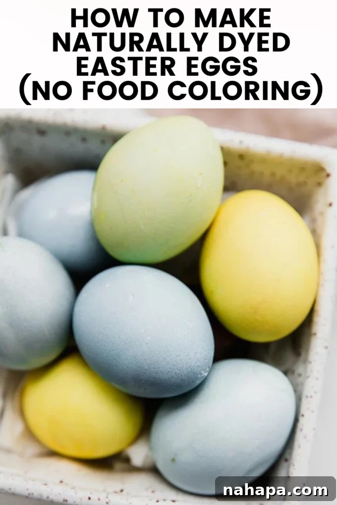 A large promotional image for the naturally dyed Easter eggs tutorial, featuring a vibrant display of finished eggs.