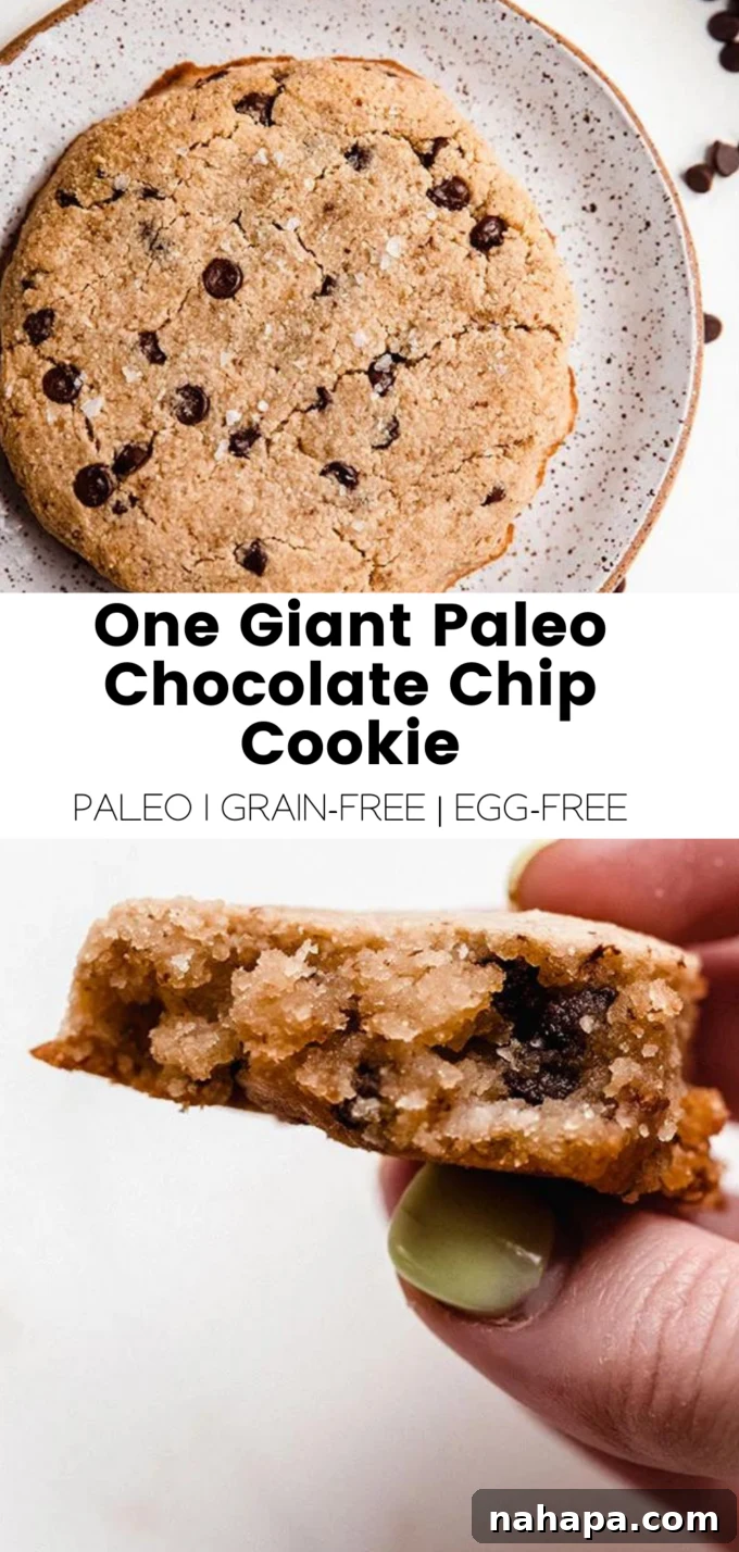 An illustrative image summarizing the recipe for One Giant Paleo Chocolate Chip Cookie, with key ingredients and a finished cookie photo.
