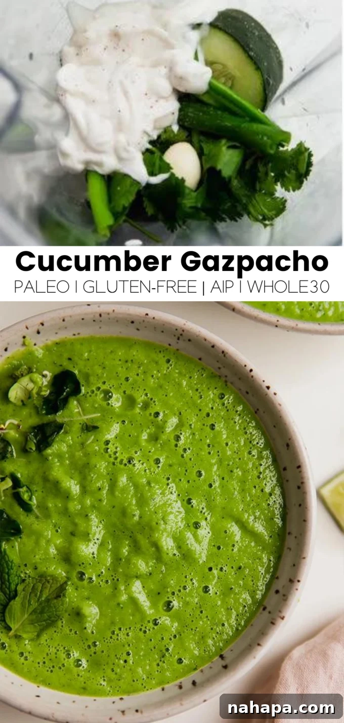 A visual summary graphic for Cucumber Gazpacho highlighting its nightshade-free and AIP qualities.