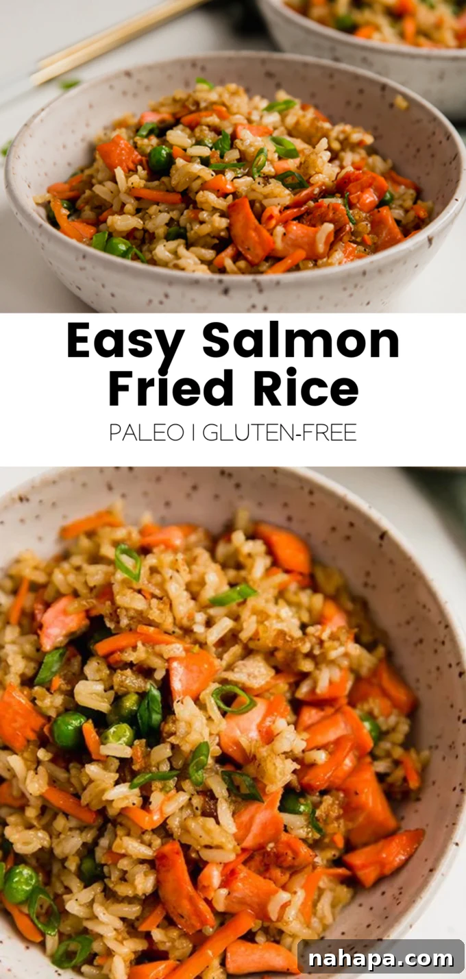Promotional image for Salmon Fried Rice recipe showing a bowl and ingredients.