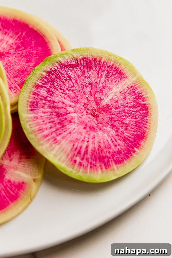 Two raw watermelon radishes displayed on a plate, highlighting their distinctive light green skin.