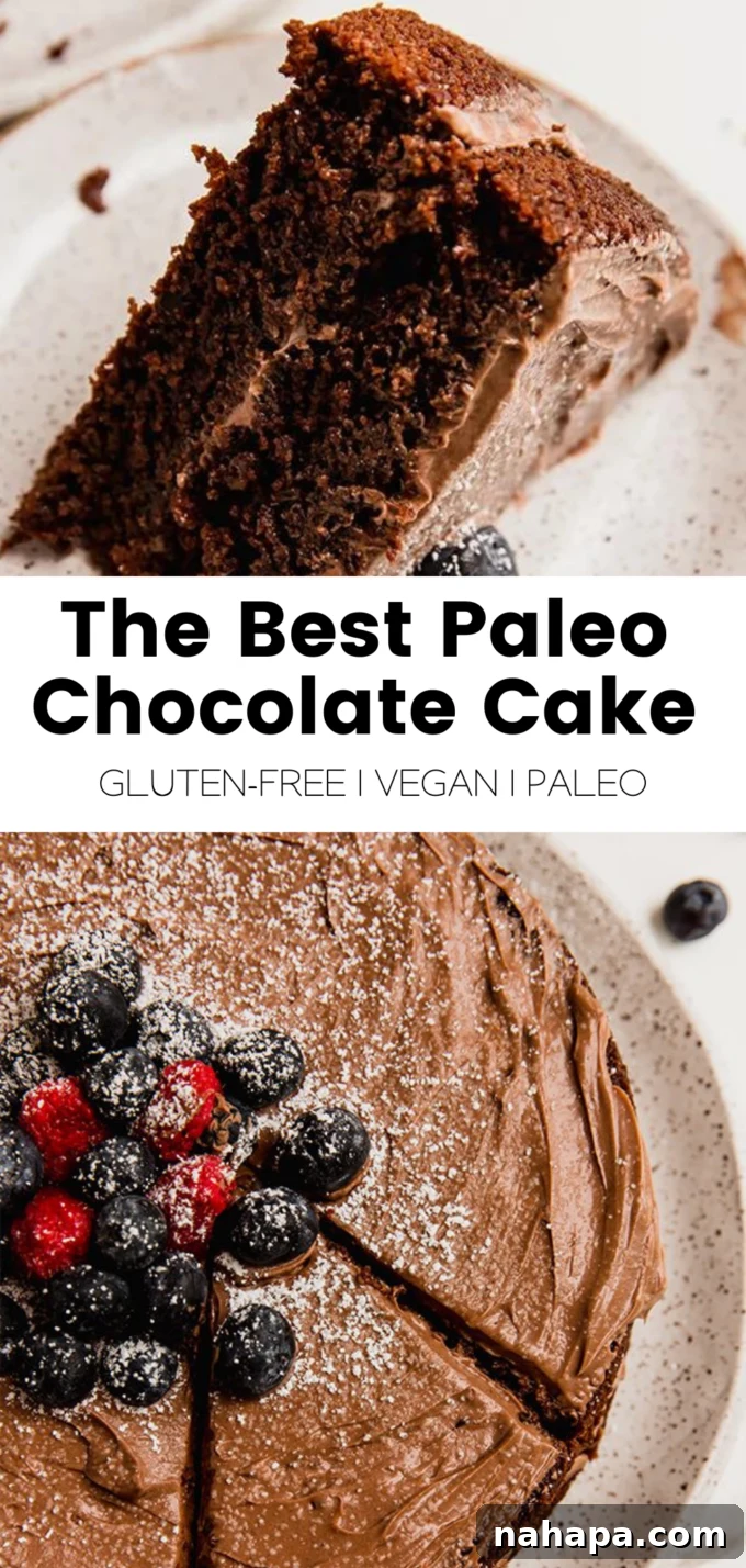 A vibrant infographic summarizing the key features of the Paleo Vegan Chocolate Cake, emphasizing its health benefits and deliciousness.