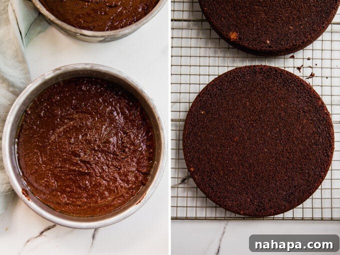 A visual sequence showing the chocolate cake batter in a baking pan before and after baking, highlighting its rise and golden-brown edges.