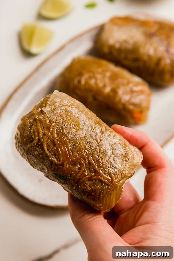 Crispy Ramen Rice Paper Roll
