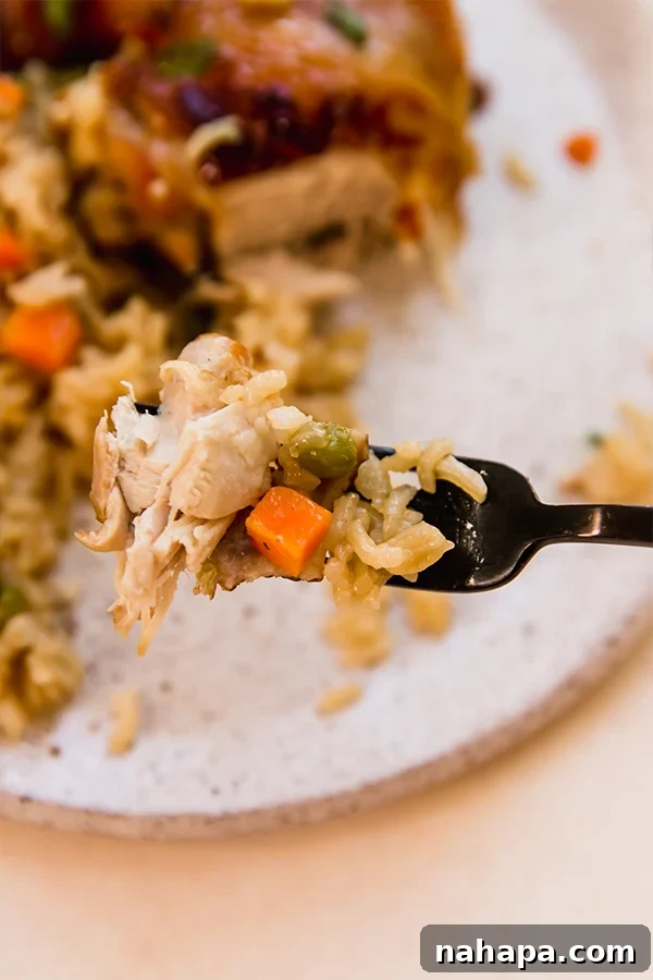 A serving of Asian-inspired chicken & rice, topped with fresh green onions.