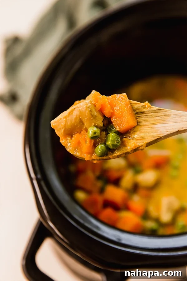 Slow Cooker Tropical Turmeric Chicken Curry 4 A spoonful of slow cooker turmeric chicken curry being lifted from the pot.