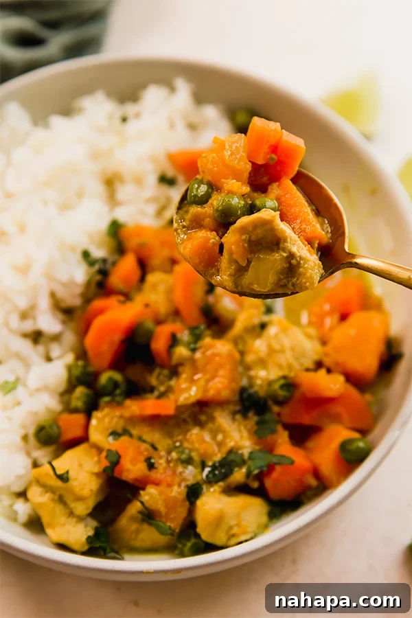 Slow Cooker Tropical Turmeric Chicken Curry 5 A beautifully plated bowl of slow cooker turmeric chicken curry with white rice, ready to be enjoyed.