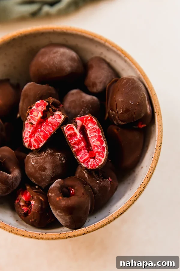 A cup overflowing with freshly made layered chocolate frozen raspberries, showcasing the vibrant red berries coated in distinct layers of white and dark chocolate, with some berries partially dipped to reveal their natural texture.