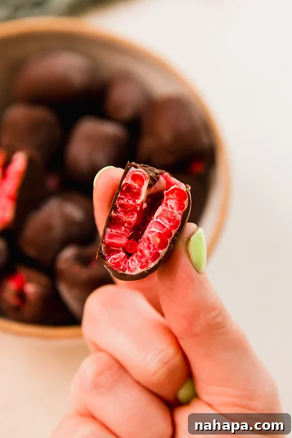 A close-up shot of a perfectly layered chocolate frozen raspberry being held between two fingers, highlighting its glossy chocolate coating and vibrant raspberry interior.