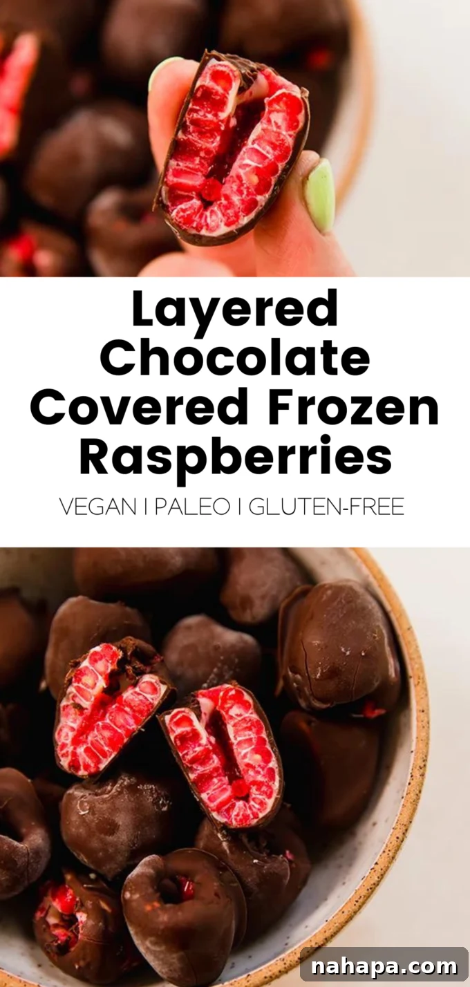 A beautifully arranged serving of layered chocolate frozen raspberries, showcasing their appealing appearance as a healthy, bite-sized dessert.
