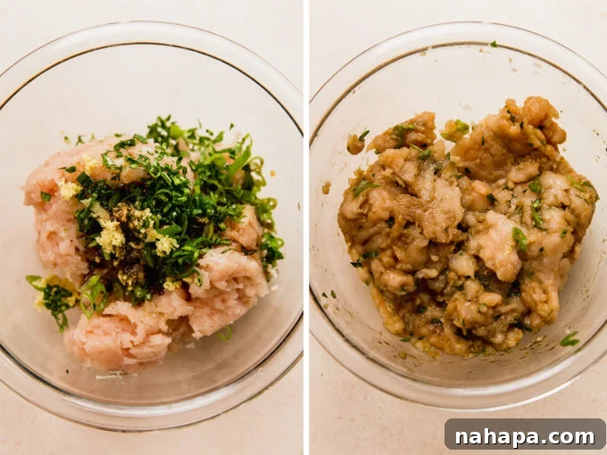 Gluten-Free Rice Paper Wonton Soup 4 The process of preparing dumpling fillings, showing both mixed ingredients and formed meatballs before cooking.