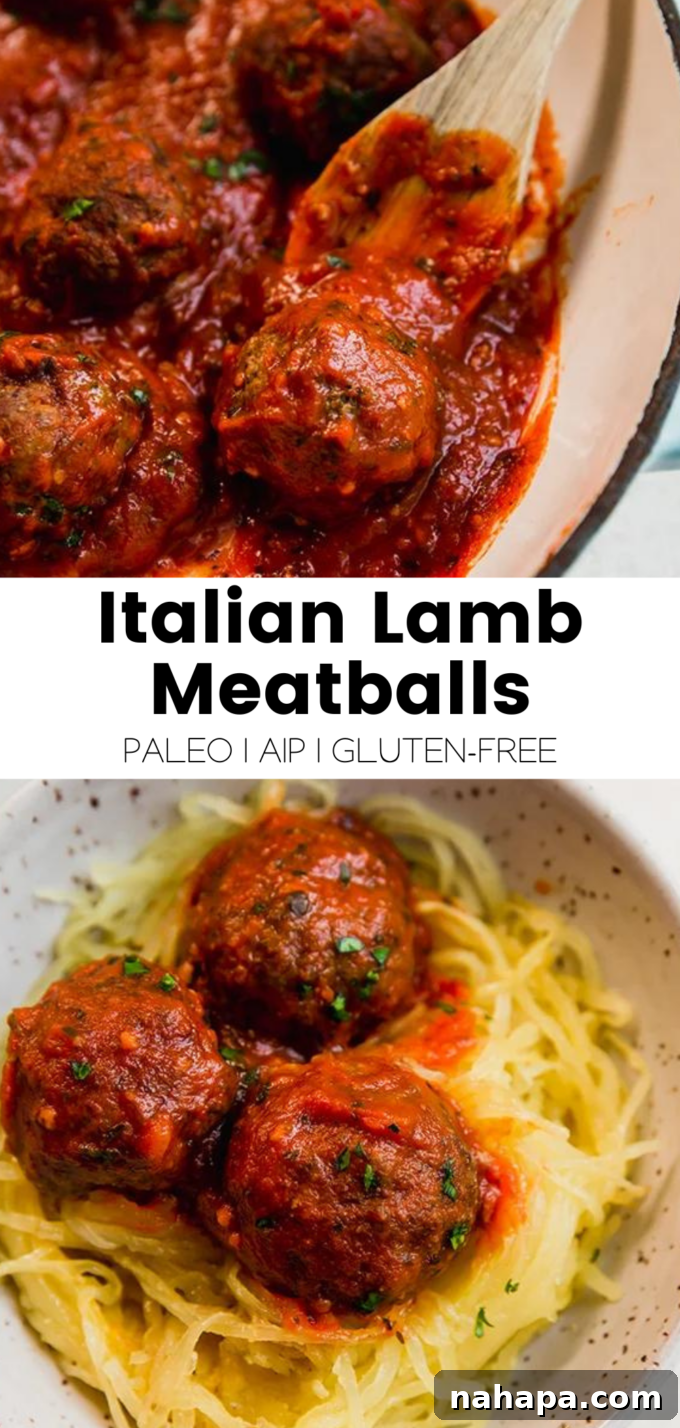 Rustic Italian Lamb Meatballs 8 img 20568 8
