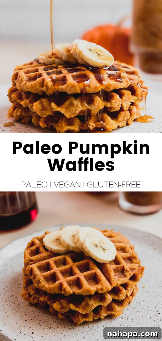 Fluffy Paleo Pumpkin Waffles Vegan Gluten Free 7 An inviting overhead shot of a single paleo and vegan pumpkin waffle, drizzled generously with maple syrup and sprinkled with a hint of cinnamon, on a rustic plate.