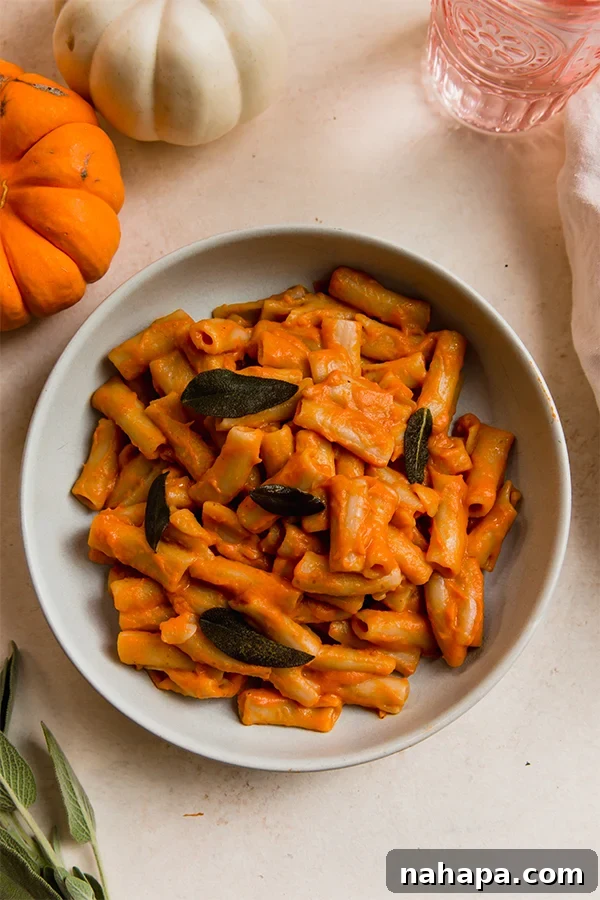 A final close-up of the prepared Pumpkin Penne Alla Vodka dish.